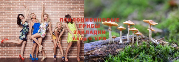 ALPHA-PVP Алексеевка