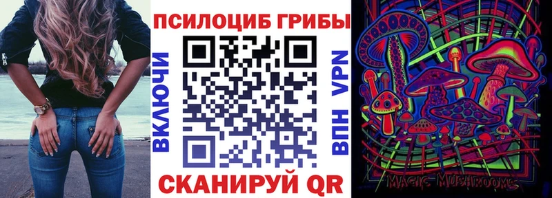 цены Евпатория Галлюциногенные грибы прущие грибы