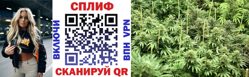 Бошки марихуана тримм  Евпатория 